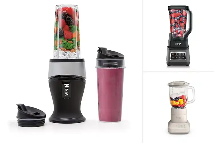 Detailed view of Best Bpa Free Blenders: Top Picks for Healthy Blending