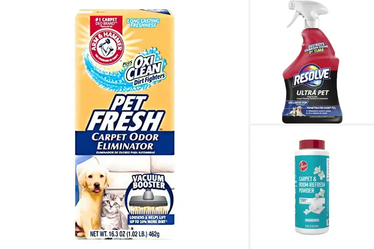 Detailed view of Best Carpet Odor Removers for a Fresh, Clean Home