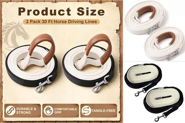 Detailed view of Best Cotton Web Driving Lines