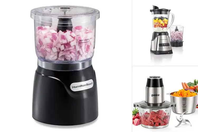 Detailed view of Best Electric Chopper Blenders