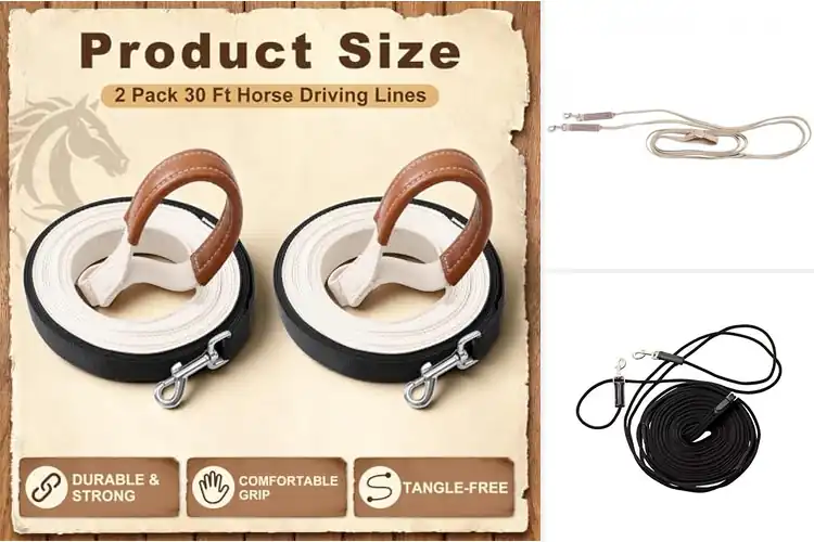Detailed view of Best Horse Driving Lines