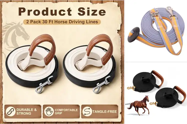Detailed view of Best Horse Training Lines