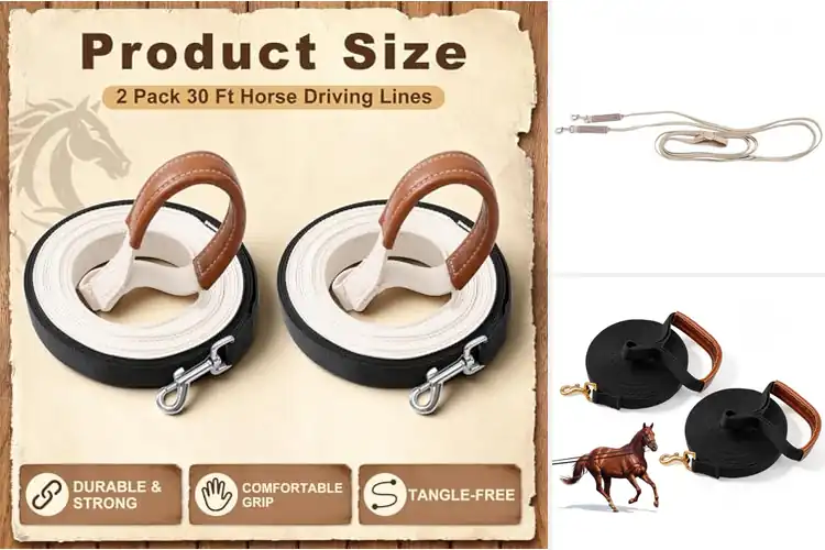 Detailed view of Best Long Driving Lines