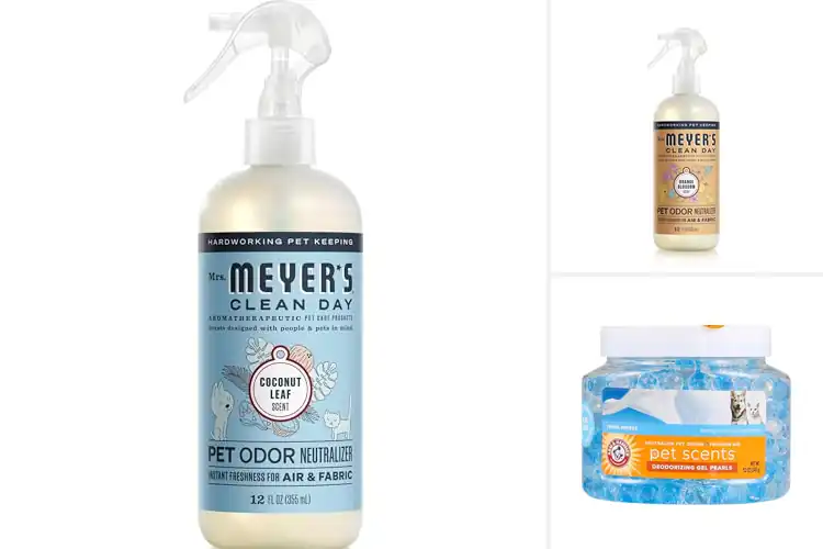 Detailed view of Best Pet Odor Neutralizers: Freshen Your Home with Ease