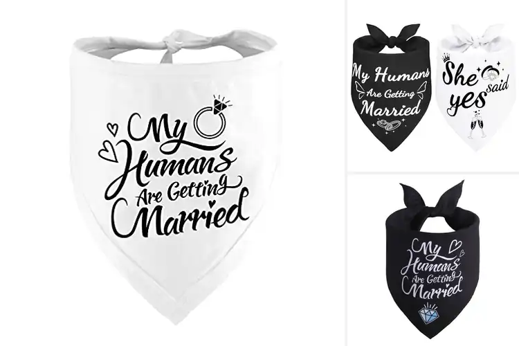 Detailed view of Best Pet Wedding Gifts