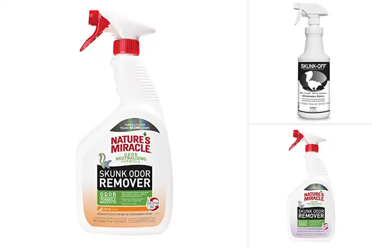 Detailed view of Best Skunk Odor Removers: 10 Tested Solutions That Work