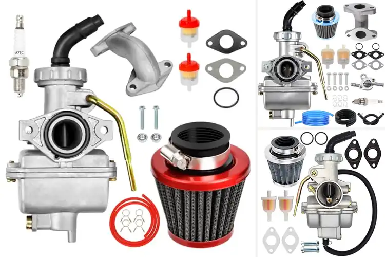 Detailed view of Best TaoTao Carburetors