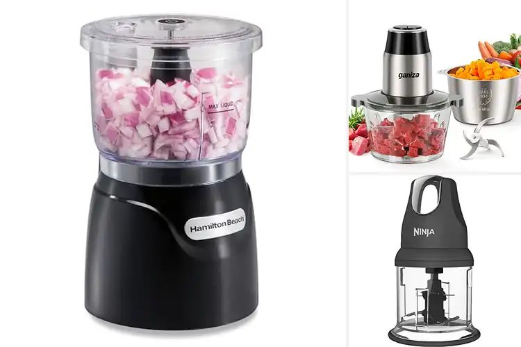 Detailed view of Best Vegetable Chopper Blenders